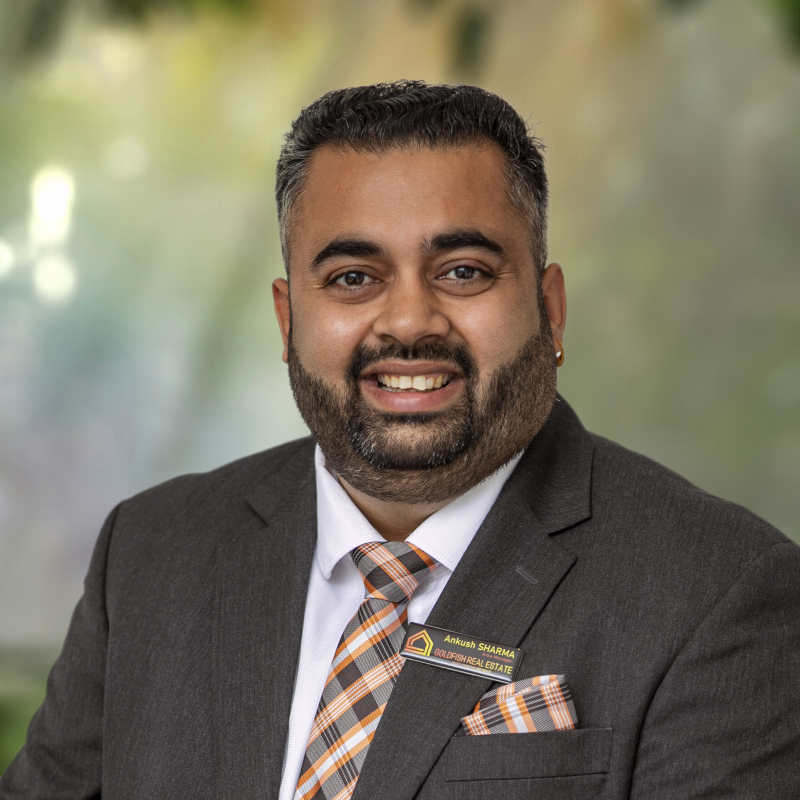 Goldfish Team member - Ankush SHARMA